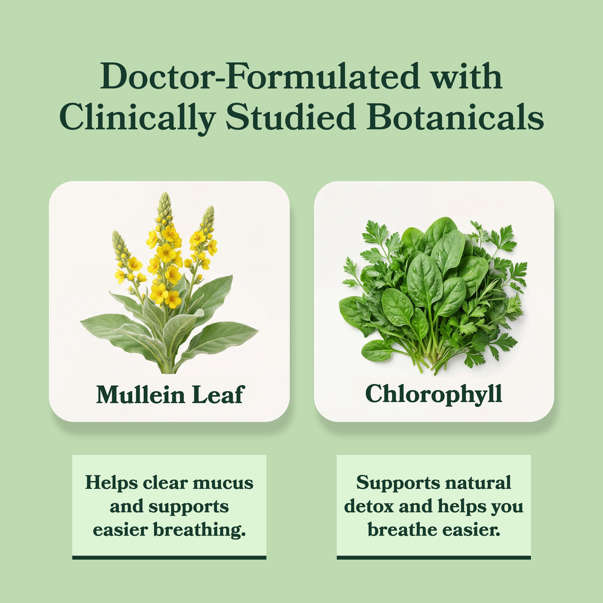 TryAera Mullein + Chlorophyll Daily Drops