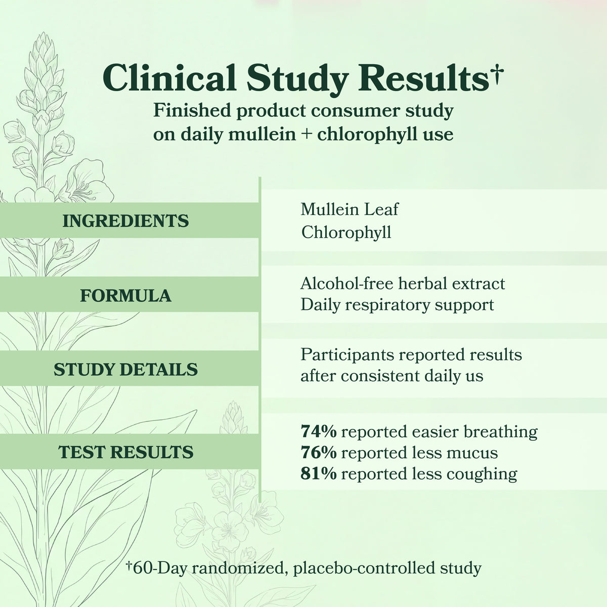 TryAera Mullein + Chlorophyll Daily Drops