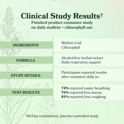 TryAera Mullein + Chlorophyll Daily Drops