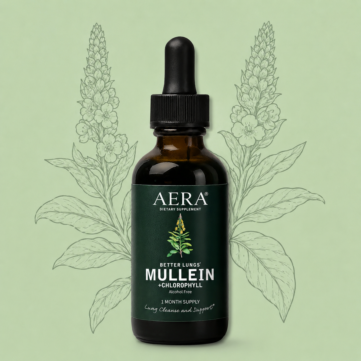 TryAera Mullein + Chlorophyll Daily Drops