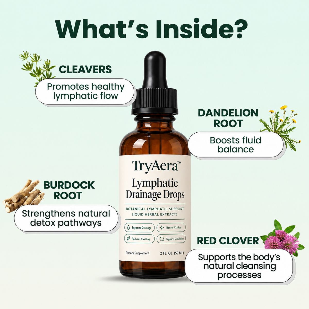 TryAera™ Lymphatic Drainage Drops
